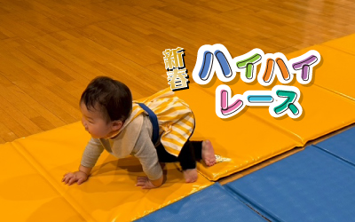 ハイハイレース